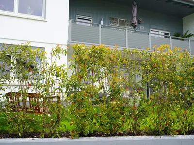 Ferienwohnung für 2 Personen (50 m²) in Hirschberg an der Bergstraße 10/10