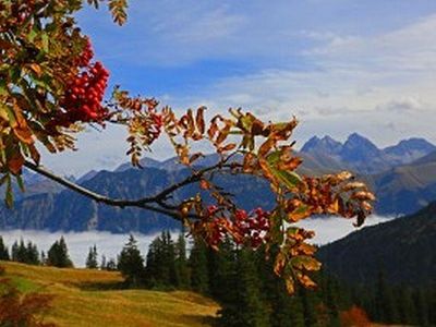 Genießen Sie bei uns die großartige HERBSTSTIMMUNG