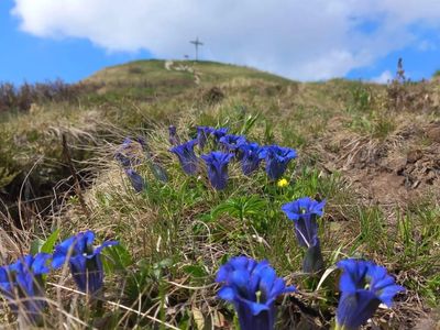 Gipfelkreuz Kuhgehrenspitze Frühling