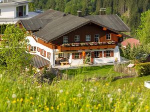 19179925-Ferienwohnung-3-Hirschegg (Vorarlberg)-300x225-3