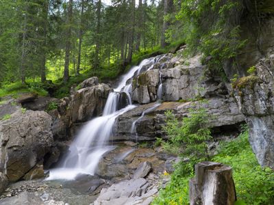 Naturbrücke Sommer