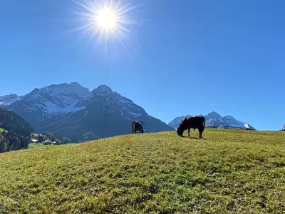 Ferienwohnung für 3 Personen (44 m²) in Hirschegg (Vorarlberg) 10/10