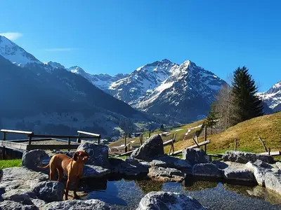 Ferienwohnung für 4 Personen (62 m²) in Hirschegg (Vorarlberg) 8/10