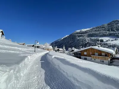 Ferienwohnung für 4 Personen (75 m²) in Hirschegg (Vorarlberg) 4/10