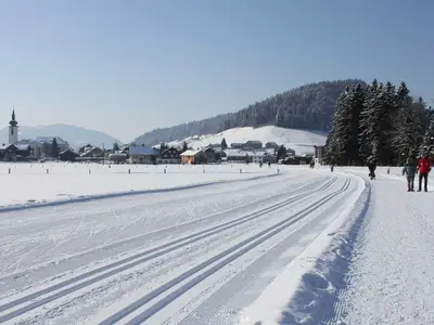 Ferienwohnung für 3 Personen (55 m²) in Hittisau 3/10