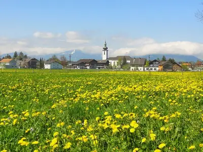 Ferienwohnung für 5 Personen (95 m²) in Hittisau 7/10