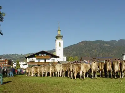 Ferienwohnung für 5 Personen (95 m²) in Hittisau 8/10