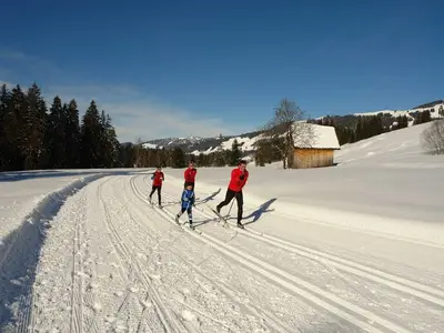 Ferienwohnung für 5 Personen (85 m²) in Hittisau 5/10