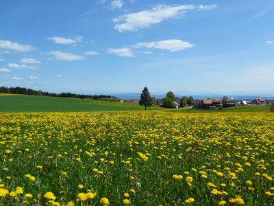 Alpensicht vom Sonnenweg