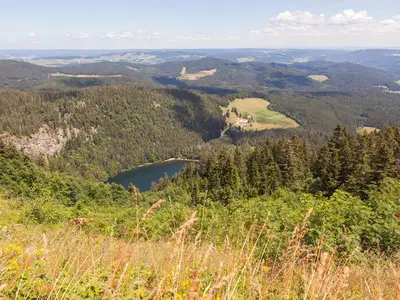Ferienwohnung für 4 Personen (50 m²) in Höchenschwand 10/10