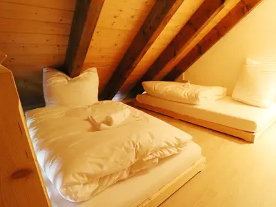 Ferienwohnung für 4 Personen (50 m²) in Höchenschwand 9/10