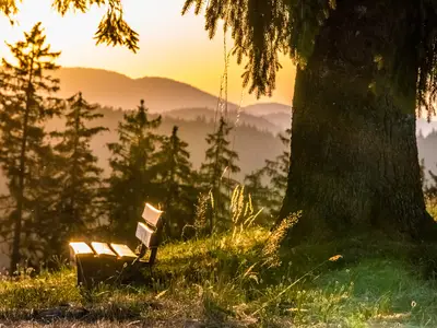 Ferienwohnung für 4 Personen (52 m²) in Höchenschwand 3/10