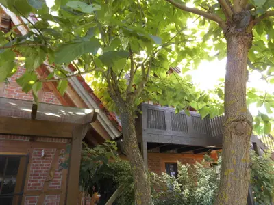 Ferienwohnung für 4 Personen (63 m²) in Hodenhagen 2/10