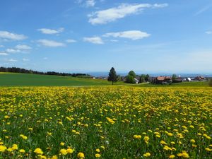 19500651-Ferienwohnung-2-Höchenschwand-300x225-2