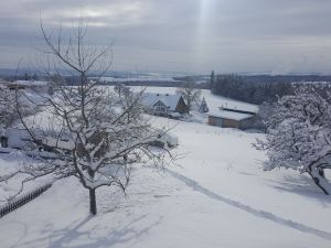 22690909-Ferienwohnung-6-Höchenschwand-300x225-3