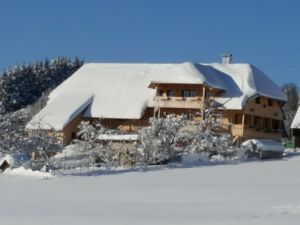 22690909-Ferienwohnung-6-Höchenschwand-300x225-5