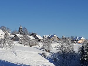 22690909-Ferienwohnung-6-Höchenschwand-300x225-4