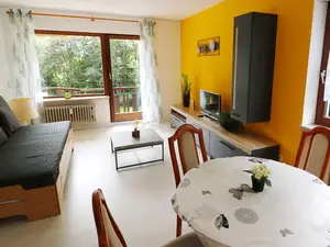 Ferienwohnung für 4 Personen (52 m²) in Höchenschwand