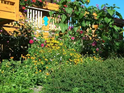 Ferienwohnung für 2 Personen (25 m²) in Höfen in Tirol 7/10