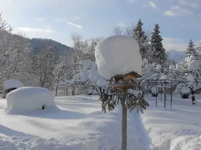 Ferienwohnung für 4 Personen (85 m²) in Höfen in Tirol 4/10