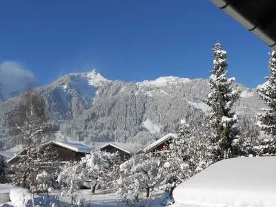 Ferienwohnung für 4 Personen (85 m²) in Höfen in Tirol 5/10