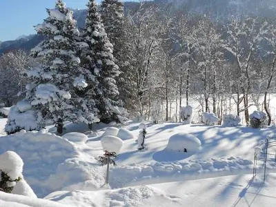 Ferienwohnung für 4 Personen (85 m²) in Höfen in Tirol 6/10