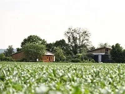 Ferienwohnung für 6 Personen (110 m²) in Hofheim in Unterfranken 7/10