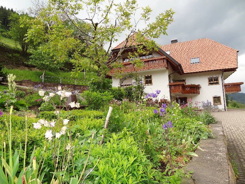 19362027-Ferienwohnung-2-Hofstetten (Baden-Württemberg)-800x600-1