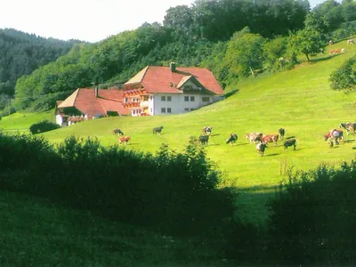 ExteriorSummer