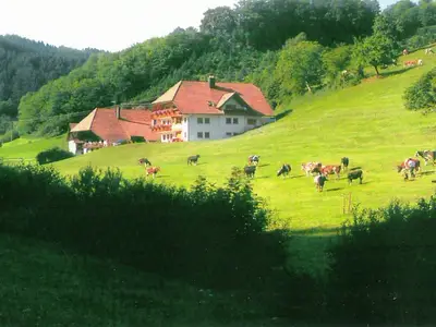 ExteriorSummer