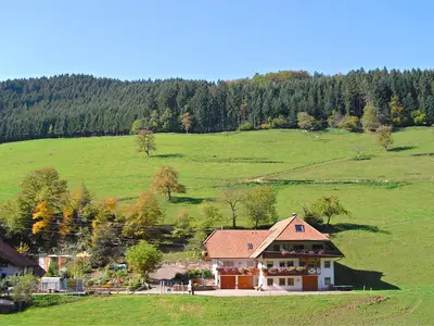 ExteriorSummer