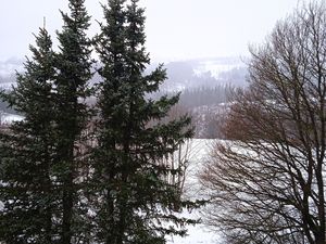 Ferienwohnung für 3 Personen (40 m&sup2;) in Hohegeiß