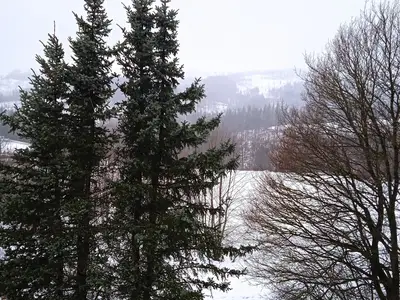 Ferienwohnung für 3 Personen (40 m²) in Hohegeiß 1/10