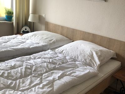 Ferienwohnung für 4 Personen (50 m²) in Hohegeiß 8/10