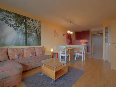 Ferienwohnung für 4 Personen (49 m²) in Braunlage 3/10