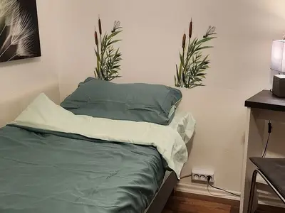 Ferienwohnung für 3 Personen (49 m²) in Braunlage 9/10