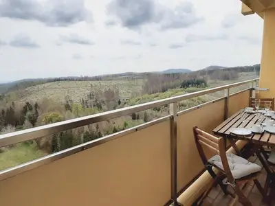 Ferienwohnung für 4 Personen (50 m²) in Braunlage 1/10