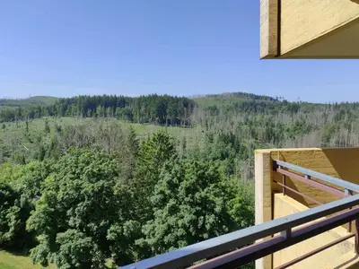 Ferienwohnung für 4 Personen (49 m²) in Braunlage 3/10
