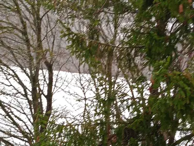 Ferienwohnung für 3 Personen (40 m²) in Hohegeiß 10/10