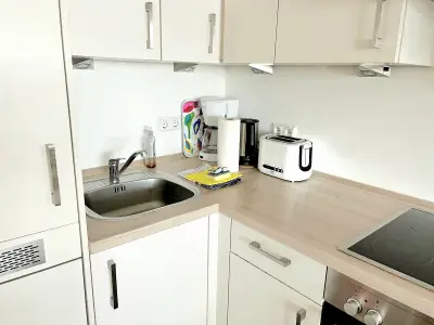 Ferienwohnung für 4 Personen (50 m²) in Hohegeiß 9/10