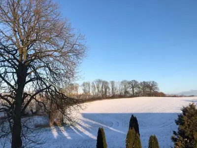Ferienwohnung für 3 Personen (48 m²) in Hohen Demzin 6/10