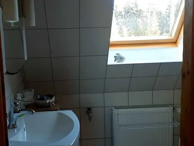 Ferienwohnung für 4 Personen (40 m²) in Hohen Sprenz 7/10