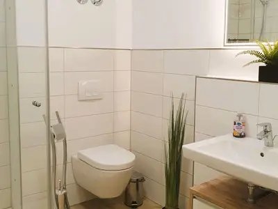 Ferienwohnung für 4 Personen (51 m²) in Hohen Wieschendorf 8/10