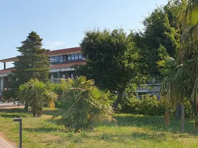 Ferienwohnung für 4 Personen (67 m²) in Hohen Wieschendorf 7/10