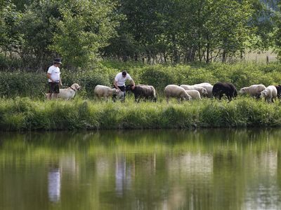 Ferienwohnung für 4 Personen in Hohenberg An Der Eger 7/10