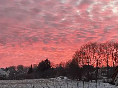 Winterimpression
