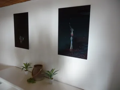 Ferienwohnung für 4 Personen (50 m²) in Hohenhameln 6/10