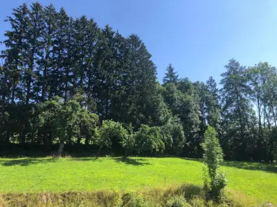 Spielwiese