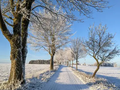 Winterlandschaft rund um Höhn 3