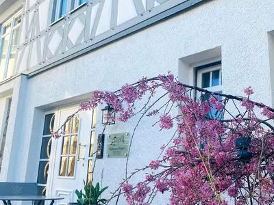 Ferienwohnung für 3 Personen (35 m²) in Höhr-Grenzhausen 2/10